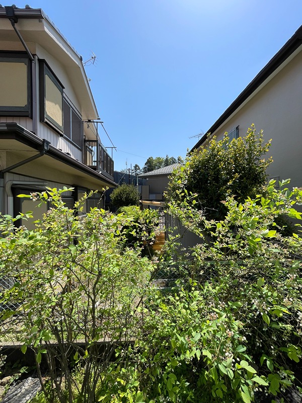 ベルシオン2  その他外観3