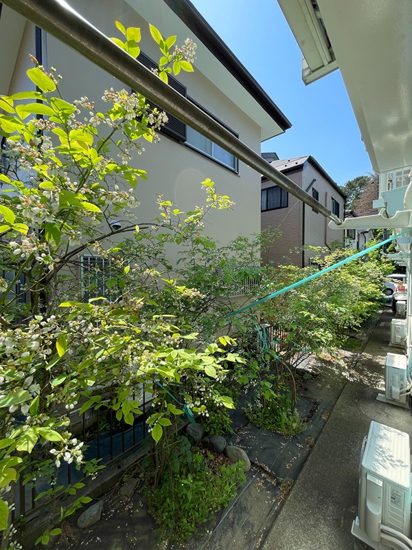 ベルシオン2  その他26