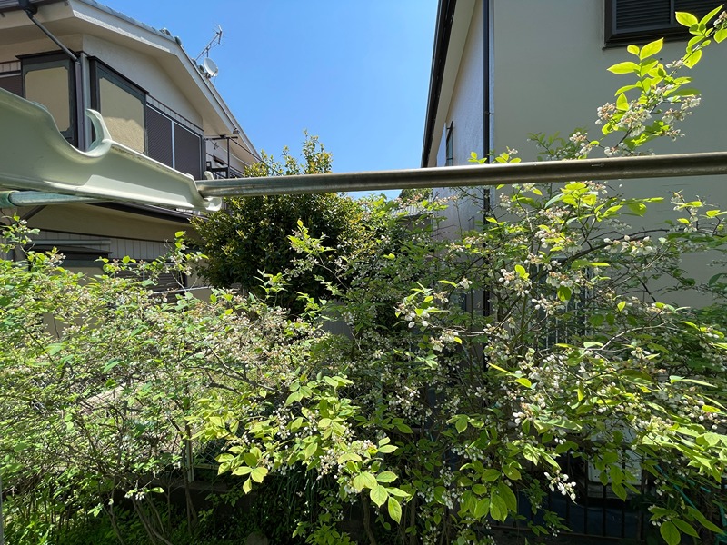 ベルシオン2  ベランダ