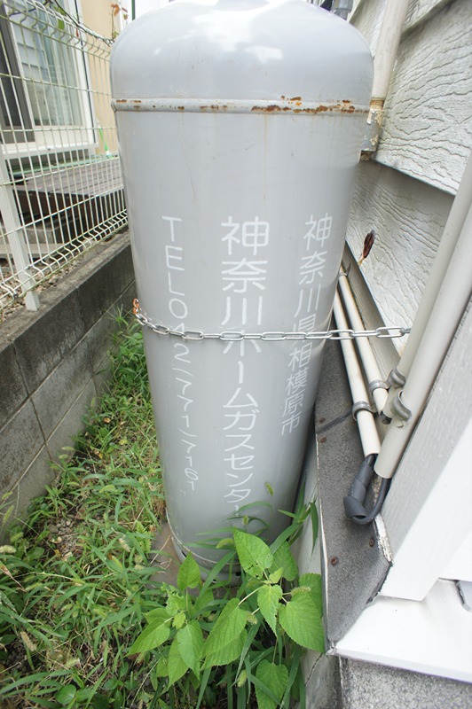 トマトⅡ その他2
