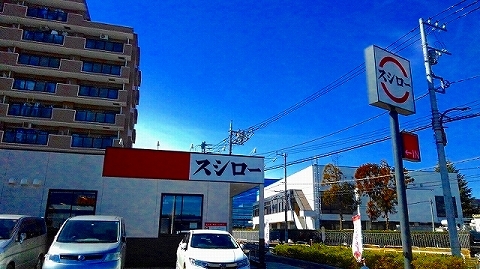 ハイキャッスルⅡ その他外観1
