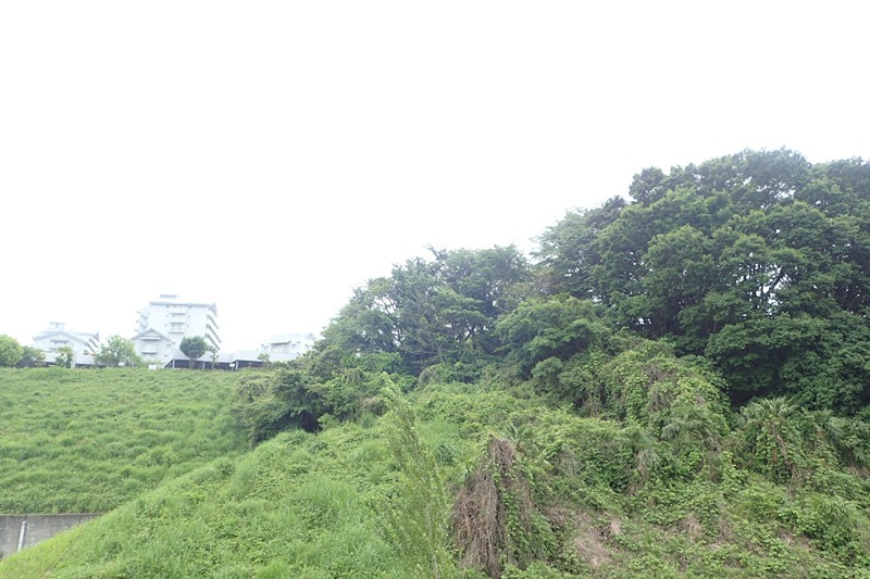 アーバンライフ南大沢 その他2