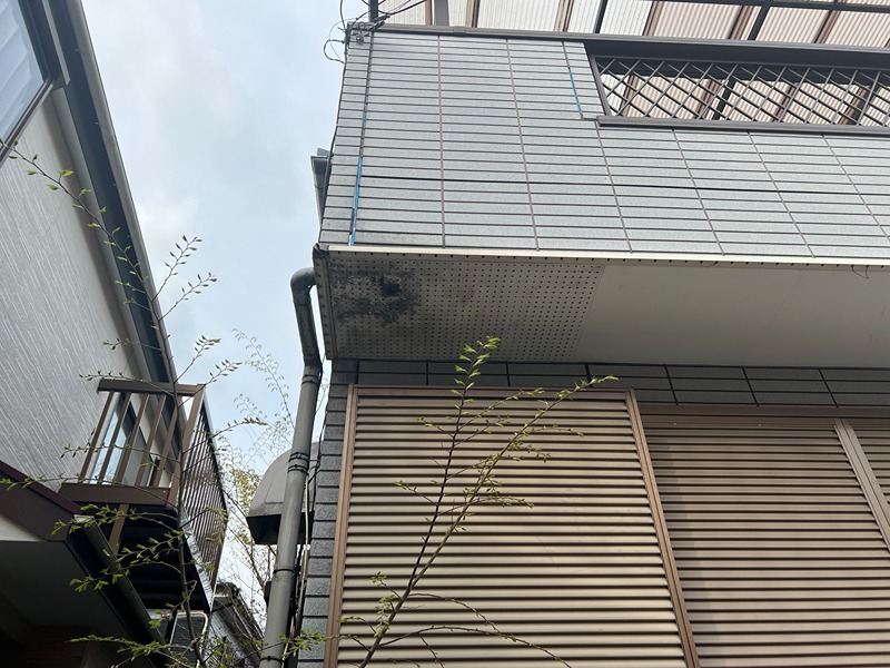 葛輪貸家　1 その他1