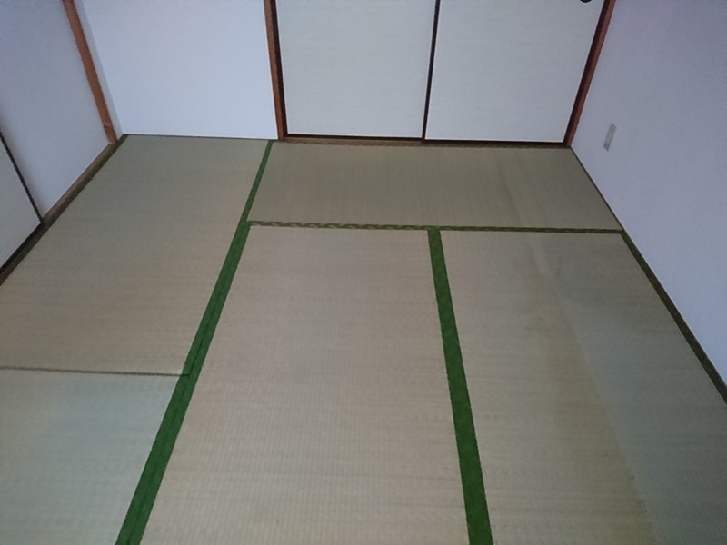 ハイラーク矢部 その他12