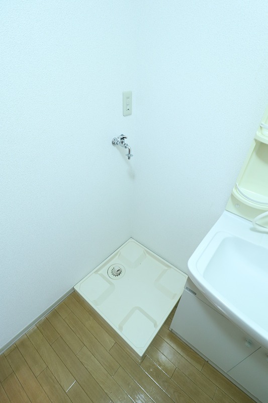 ステラ その他16