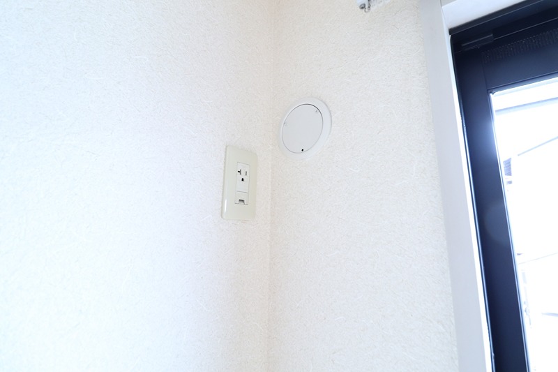 ステラ その他30
