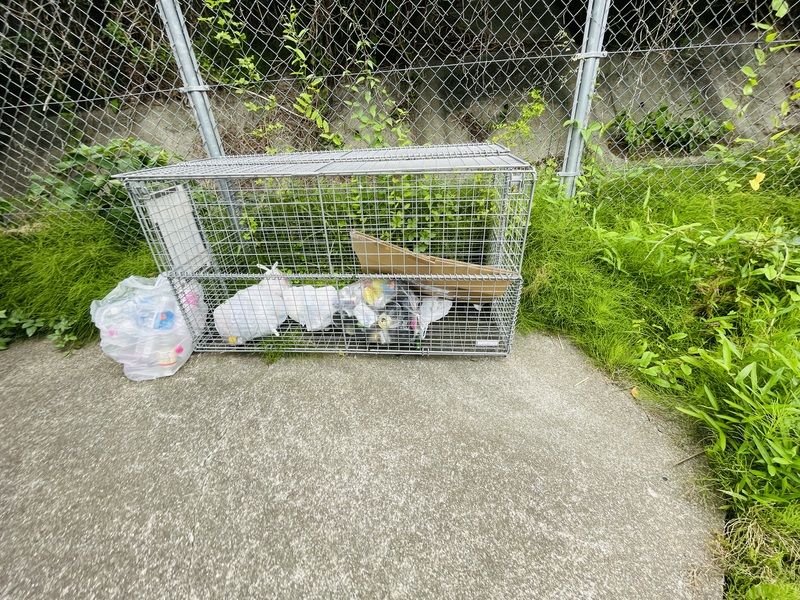 GRANDGARDEN相模中央 その他7