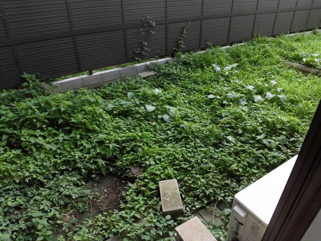 ガーデンタウン桜ヶ丘１号館 その他6