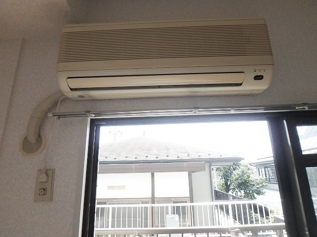 ホワイトパレス万年青  その他2