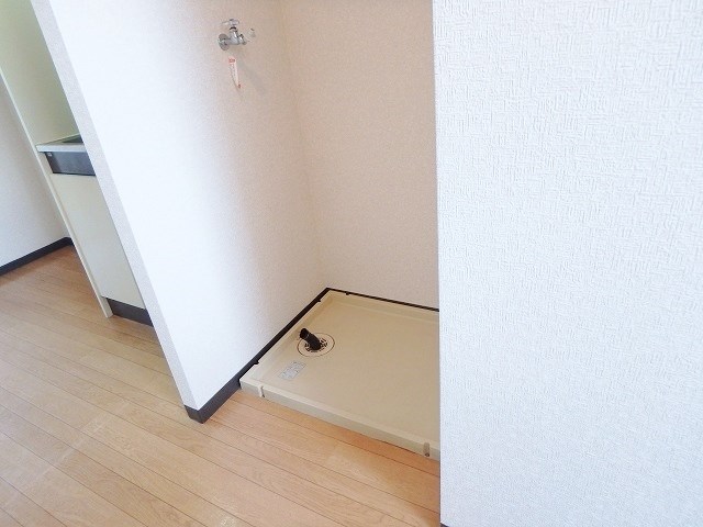 ホワイトパレス万年青  その他4