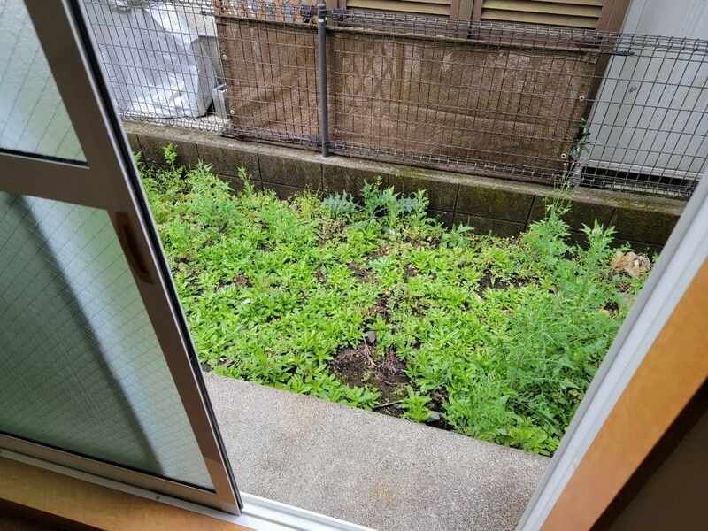 オラシオン ベランダ