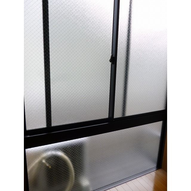アムール 琴 その他15
