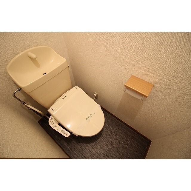 アムール 琴 その他2