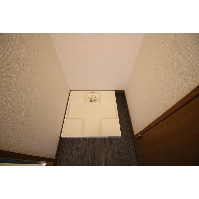 アムール 琴 その他5
