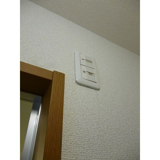 アムール 琴 その他10