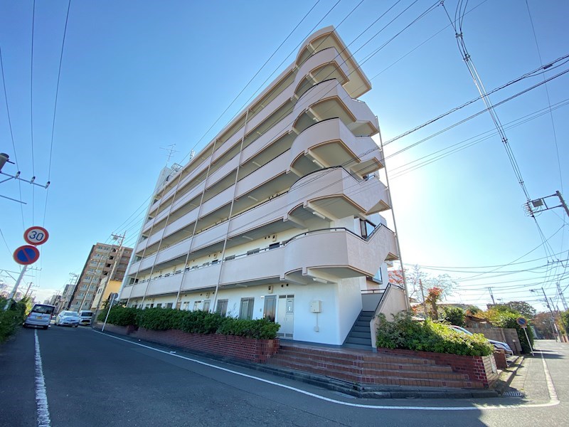 ハイラーク矢部 その他12