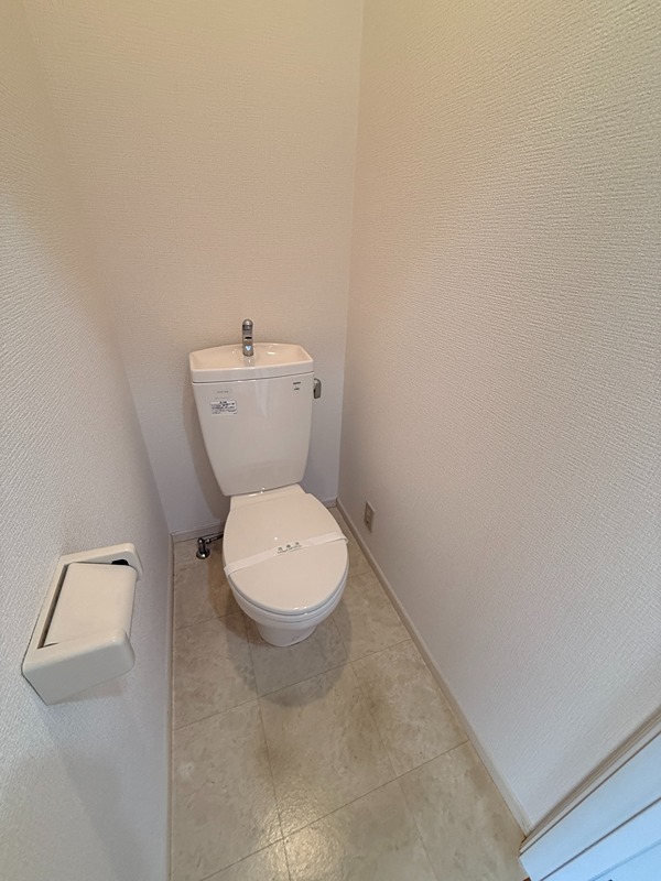 グレイスランド  その他2