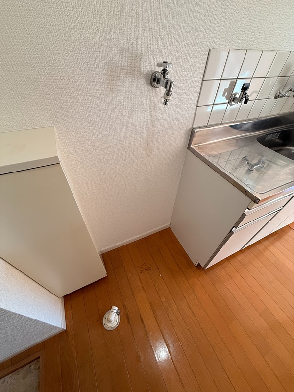 グレイスランド  その他6