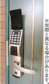 クレマチス その他8