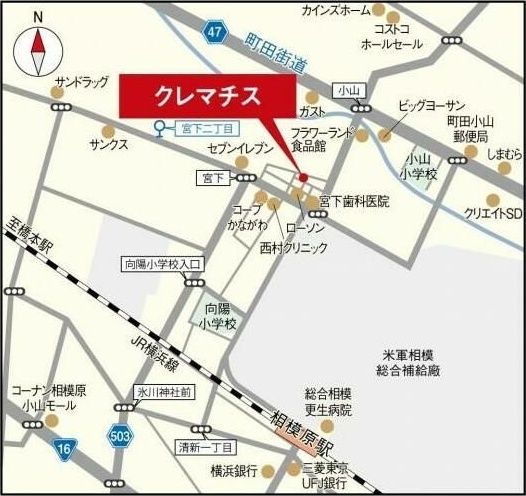 クレマチス その他8