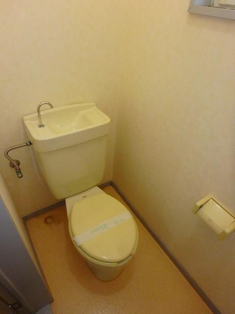 ドエルカトレア その他2
