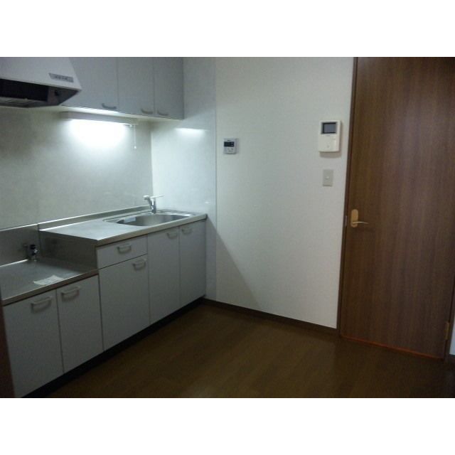 アムール 琴Ⅱ その他5