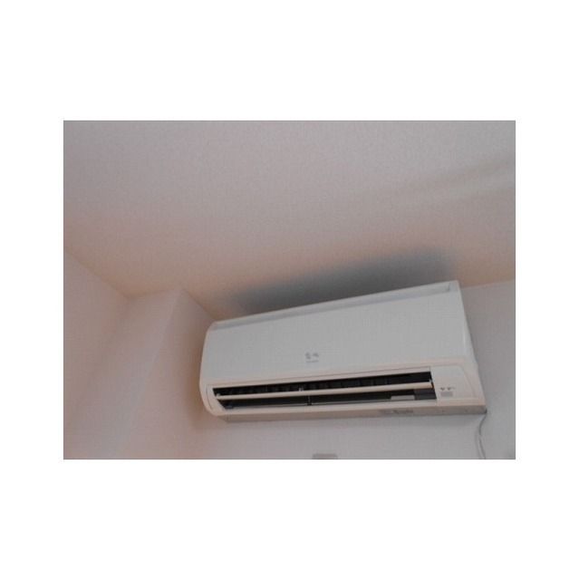 アンプルール フェール ベル その他5