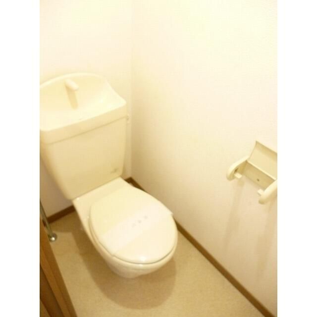 アムール　琴 その他3