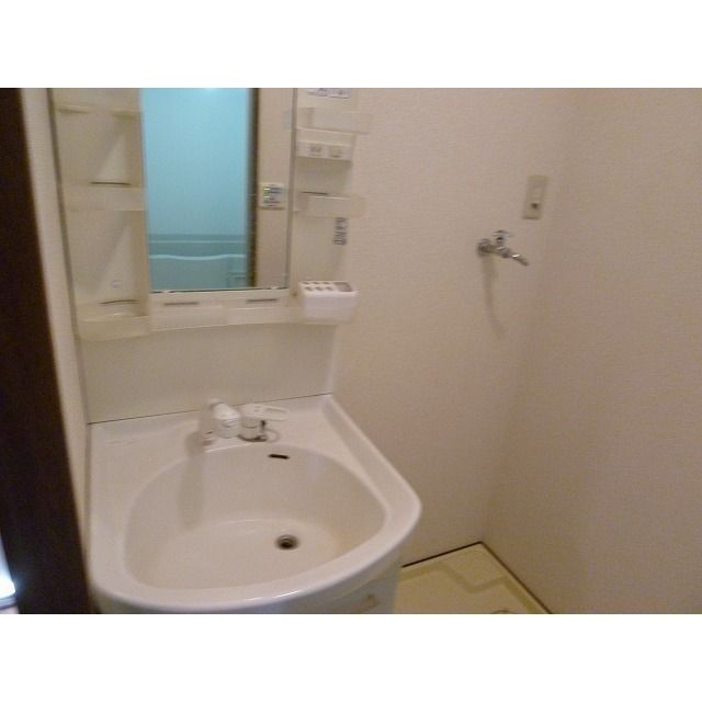 アムール 琴Ⅱ その他3