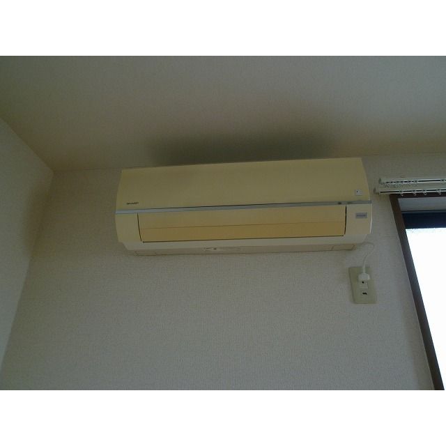 アムール 琴Ⅱ その他5