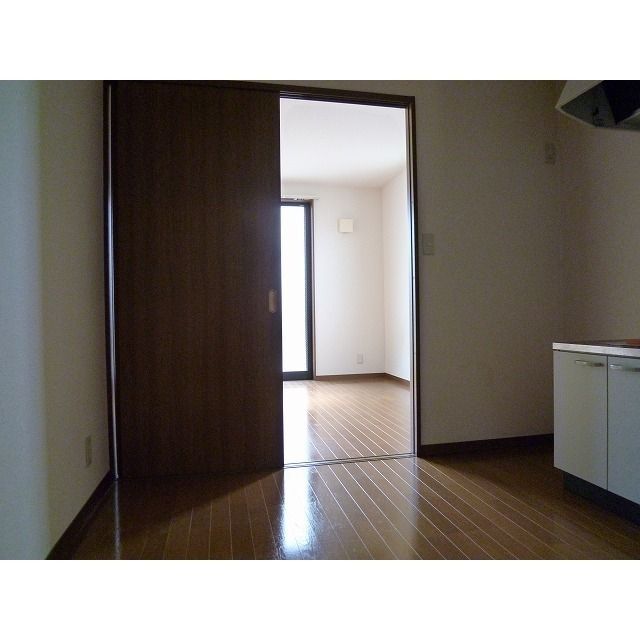 アムール 琴Ⅱ その他9