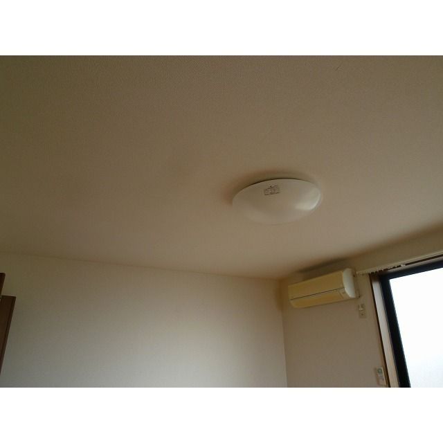 アムール 琴Ⅱ その他11