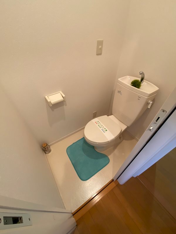 グレイスランド その他4