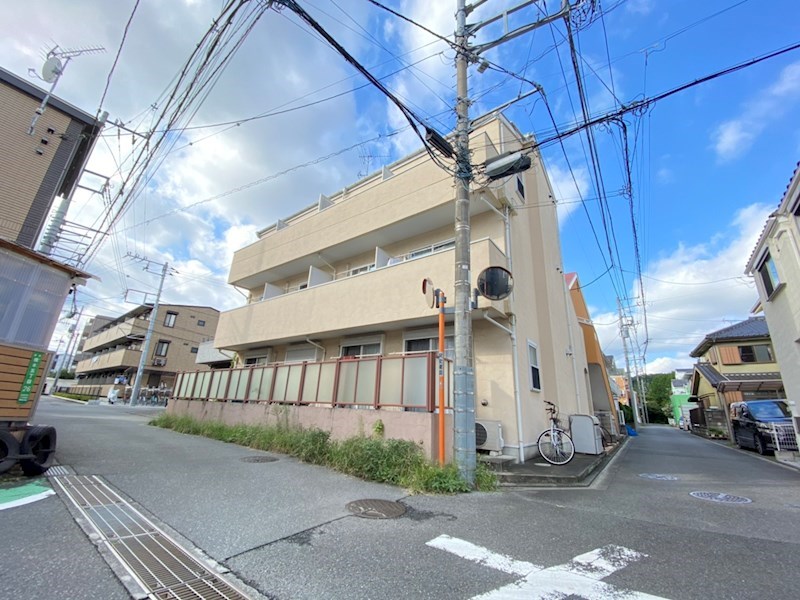 グレイスランド その他13