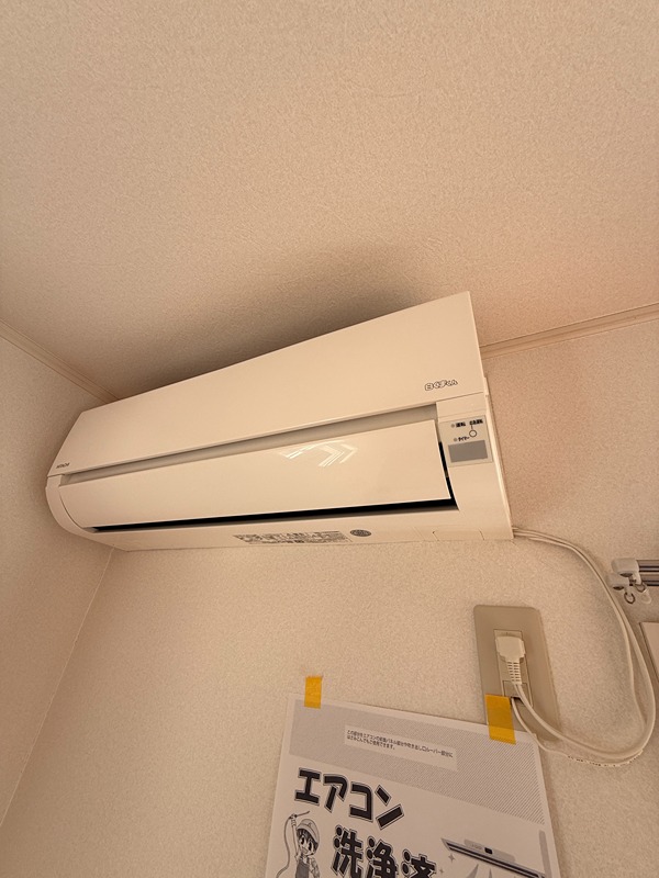 グレイスランド その他20