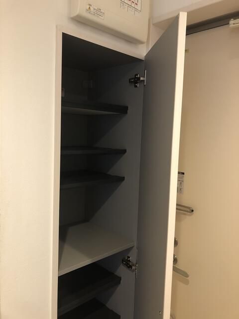 ワンズアヴェニール淵野辺 玄関