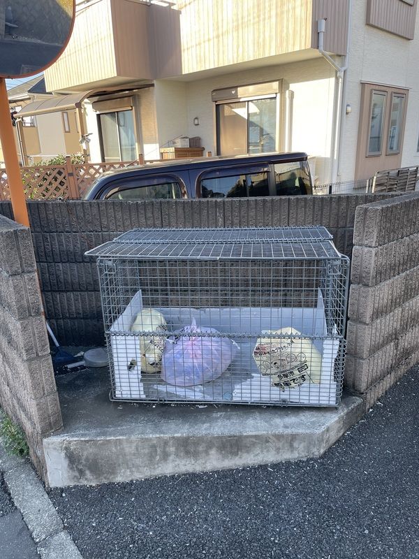 サニーウェル その他8