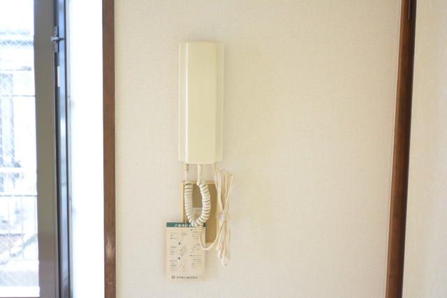 ロードサイドコスモス その他3