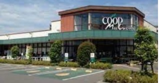 リブラ北里 周辺画像6