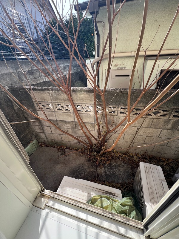 モンパルナス その他21