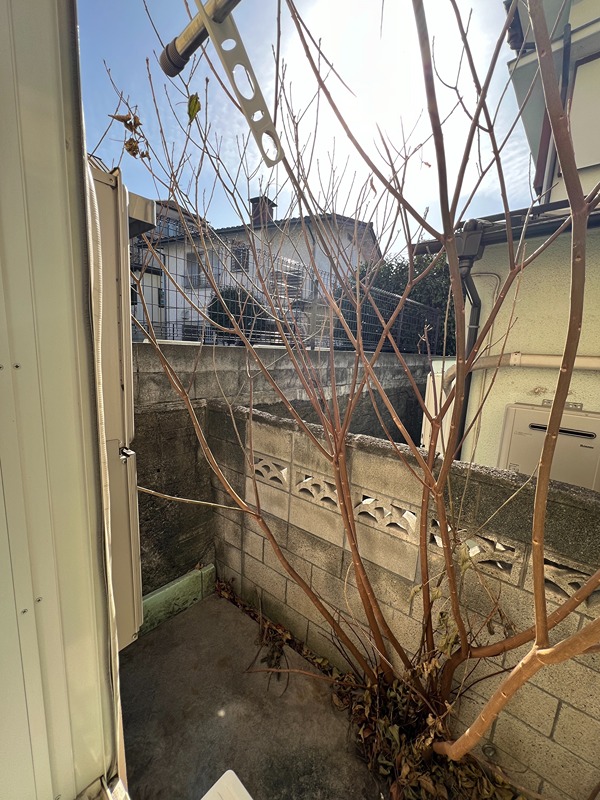 モンパルナス ベランダ