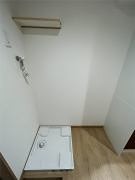 オレンジポピー その他6