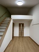 オレンジポピー その他7