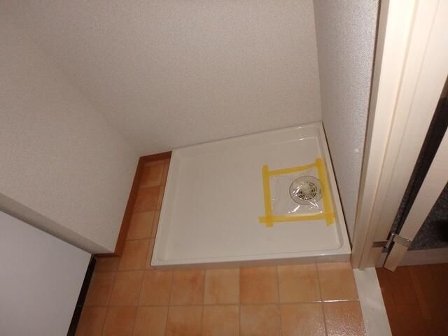 オリーブ その他4