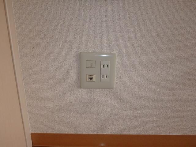 オリーブ その他6