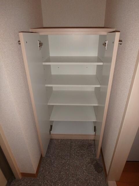 オリーブ その他8