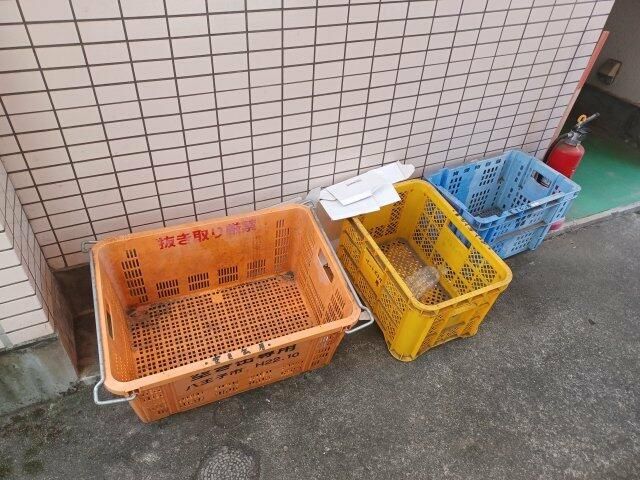 プライマ・フェイス その他6