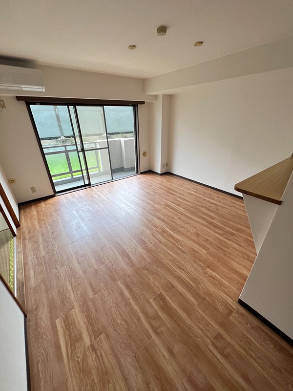 ドルフソニアドーロ   その他1