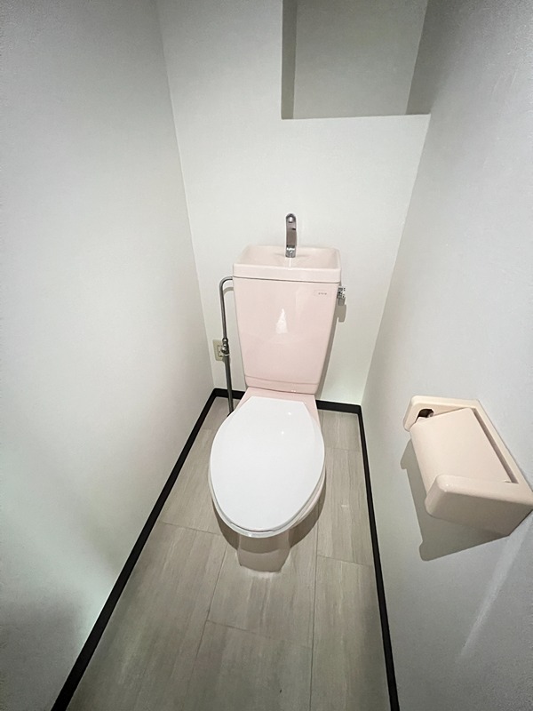 ドルフソニアドーロ   その他2