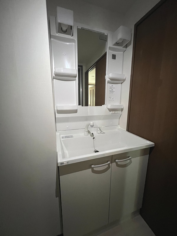 ドルフソニアドーロ   その他3